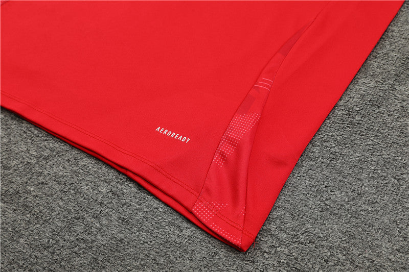 Conjunto Treino Espanha 24/25 - Vermelho e azul