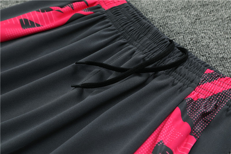 Conjunto Treino Alemanha 24/25 - Rosa e chumbo